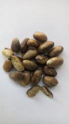 Irvingia Gabonensis Seeds - Irvingia Seeds Suppliers, Traders ...