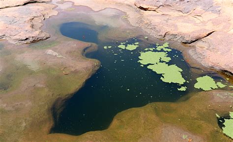 Where Life Began? Matsieng Footprints in Botswana - The Gate