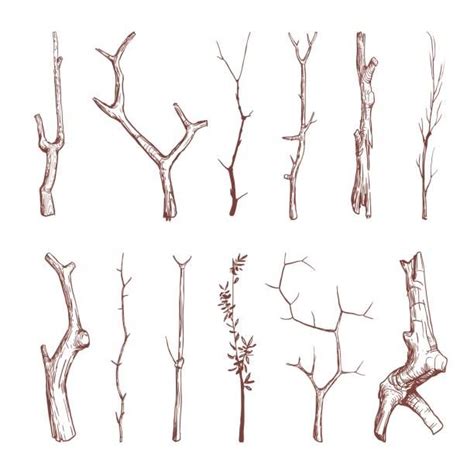 Hand drawn wood twigs, wooden sticks, tree branches vector rustic ...