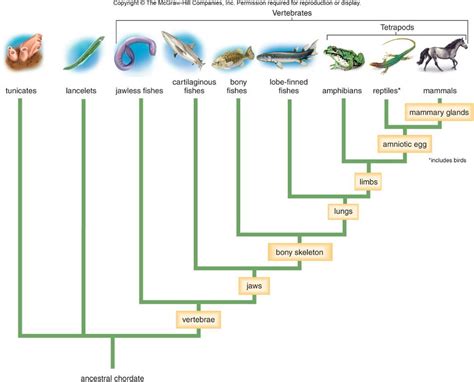 404 - File or directory not found. | Study biology, Life science ...