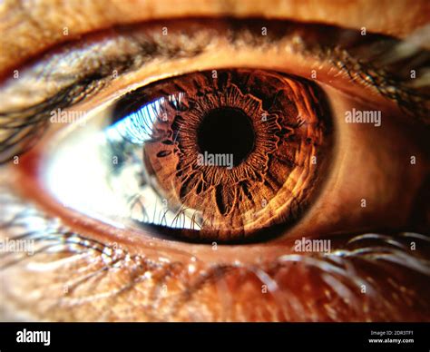 Human Eye Close Up