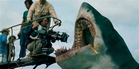 Strangest Behind The Scenes Stories From Jaws