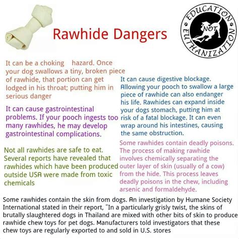 Rawhide Dangers | Dog training advice, Rawhide, Dog health