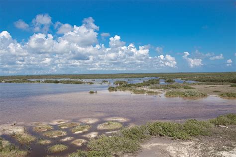 Landscape with Swamp and Clouds in Sky · Free Stock Photo