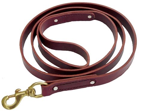 Dog Leash Guide: Learn About the Different Types of Leashes and Which ...