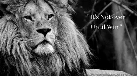 25+ Motivational Lion Pictures Quotes - Brave Lion Quotes