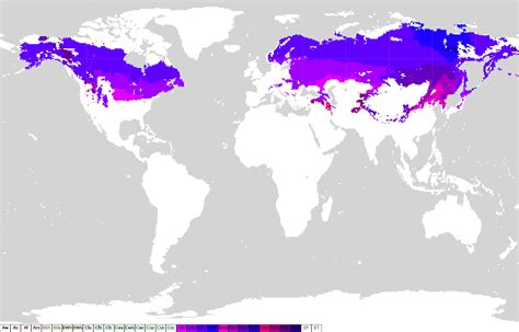 Clima continentale | Il Clima