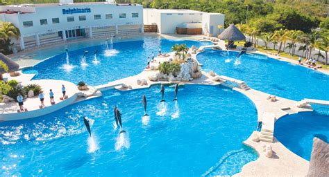 Cancun All Tours -DOLPHIN SWIM PROGRAM (DSP) CON TRANSPORTACION