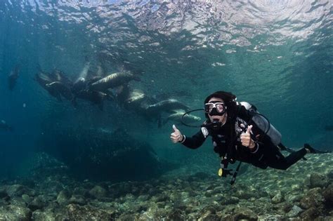 Scuba Diving in Isla del Espiritu Santo with pickup from La Paz