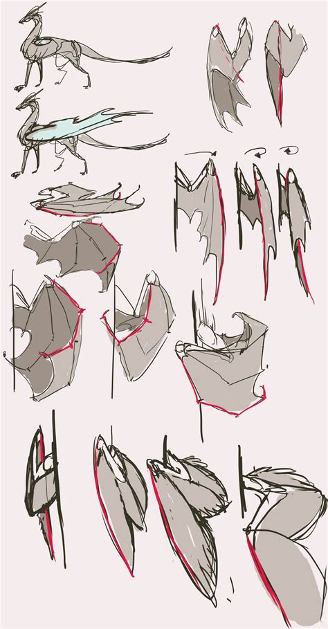 (folded)Wings reference part2 by Remarin on DeviantArt | Sketches ...