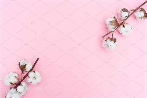 Raw cotton branch featuring cotton, flowers, and composition | Nature ...