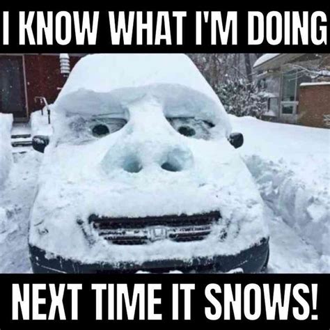 25 Best Snow Memes for Laughing at Winter Weather | Winter jokes, Snow ...