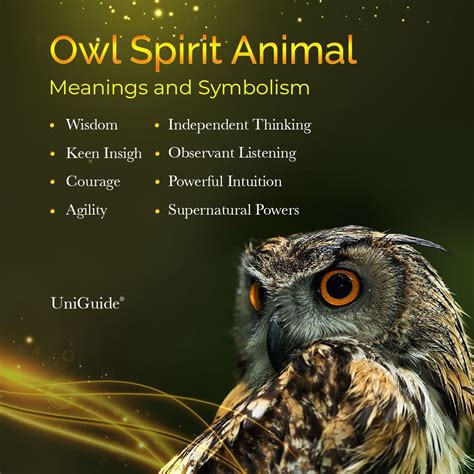 Spirit Animal Totem, Animal Spirit Guides, Your Spirit Animal, Animal ...