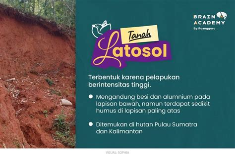 10 Jenis Tanah dan Persebarannya di Indonesia