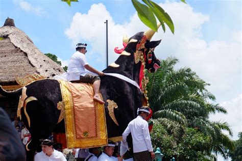 Lembu: The Bull Sarcophagus – NOW! Bali