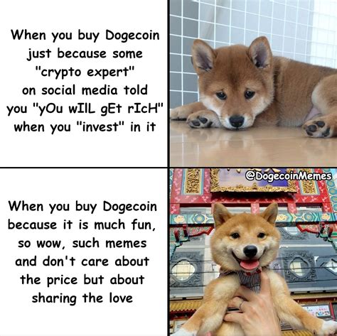 Doge Memes