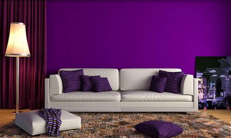 Bold Purple Wall Paint for Your Home