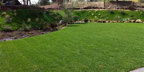 Lawn Grasses for Landscaping - Landscaping Network