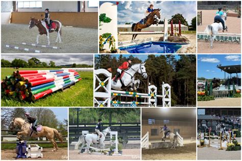 Exploring Types of Arena Horse Jumps - The Gingerbread Pony