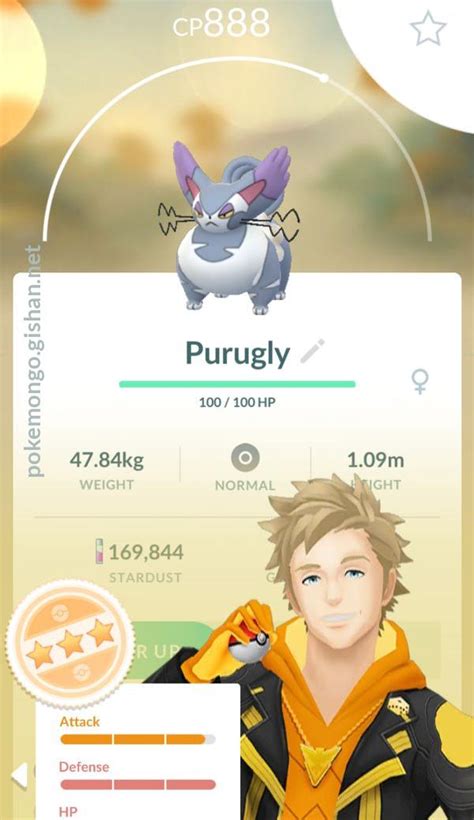 Purugly - Pokemon Go