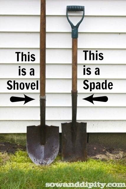 Top 14 Best Shovels For Your Outdoor Needs - Epic Gardening