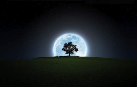 Moon Tree Wallpapers - Wallpaper Cave