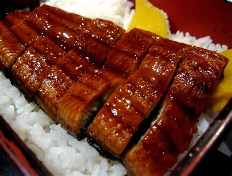 Unagi Don (Unadon) Recipe : Food Recipe