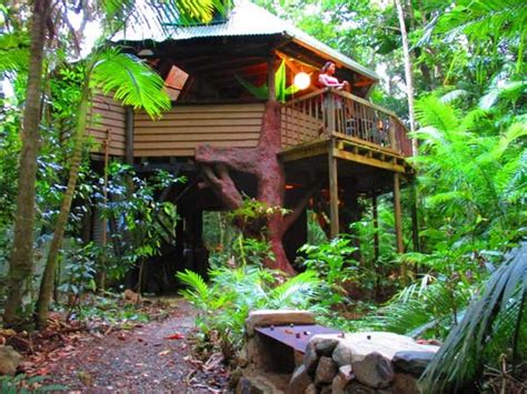 Daintree Jungle Treehouse Has Grill and Patio - UPDATED 2022 ...