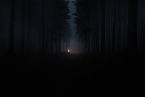 Dark Forest Wallpaper Full Hd 4k - Infoupdate.org