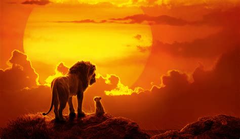 Lion King Sunset (3840x2160) : r/wallpaper