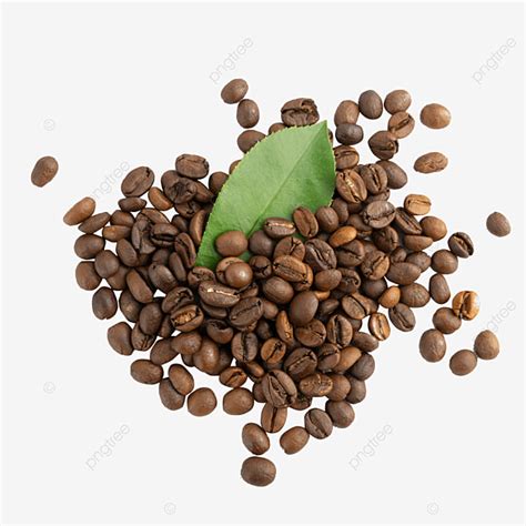 Espresso Coffee Beans, Raw Material, Food, Concentrate PNG Transparent ...