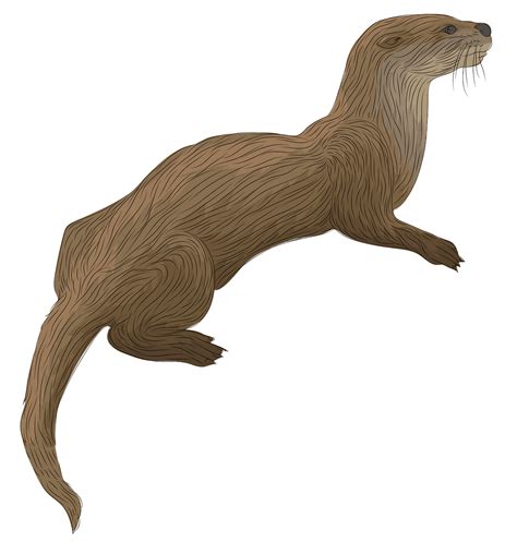 river otter clipart 10 free Cliparts | Download images on Clipground 2024