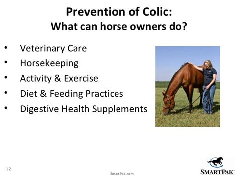 Colic Prevention: Proven tips to help reduce your horse's risk