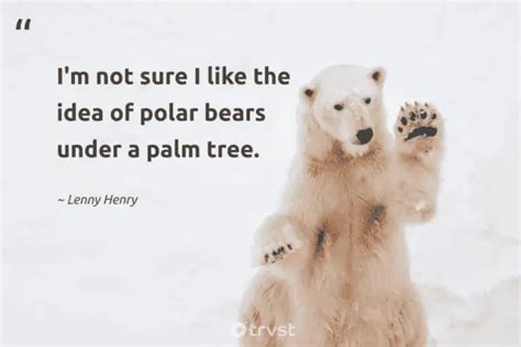 22 Polar Bear Quotes about the King of the Arctics