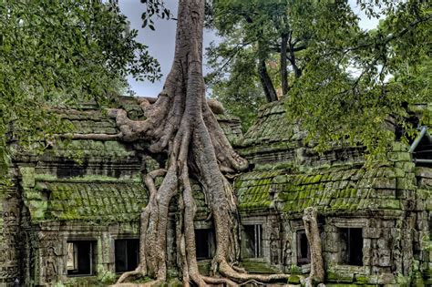 Abandoned Temple in Cambodia : r/AbandonedPorn