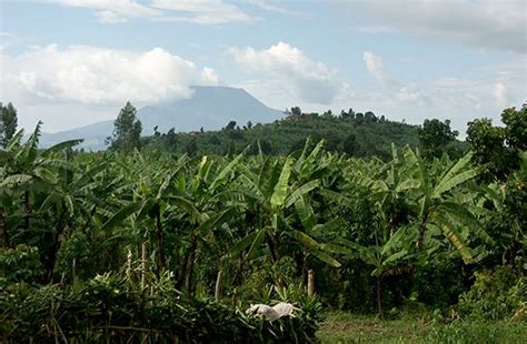 Mount Nyiragongo | Location, Eruptions, History, & Map | Britannica