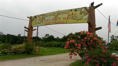 Desaru Fruit Farm Kota Tinggi Johor