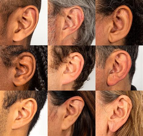 multiple images of the same person's ear