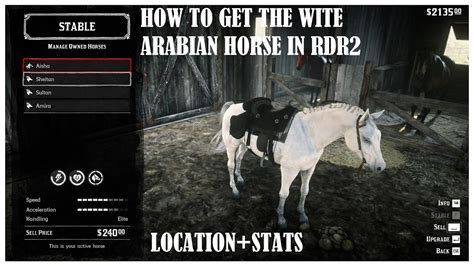 How to find + tame the white arabian horse in RDR2 (one of the best ...