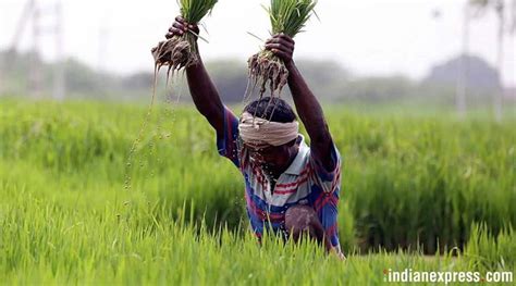 India, Israel sign agreement on agriculture cooperation | India News ...