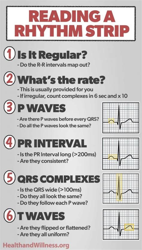 Ekg measuring strip – Telegraph