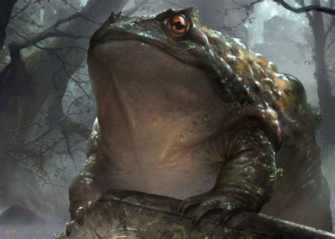 Toadally Flavorful | MAGIC: THE GATHERING