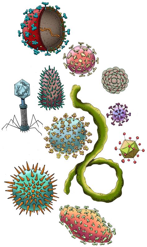 What is the coronavirus? Virus science explained | Caltech Science Exchange