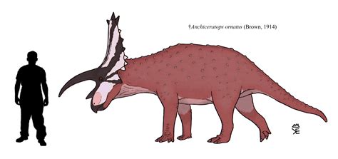 Thomas Sutton - Anchiceratops ornatus