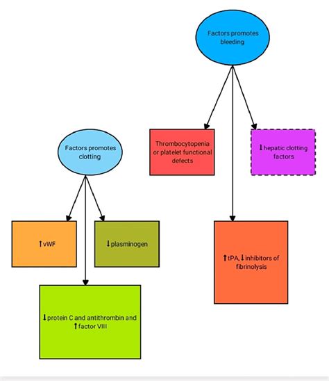 Changes in the coagulation and fibrinolytic system in liver disease ...