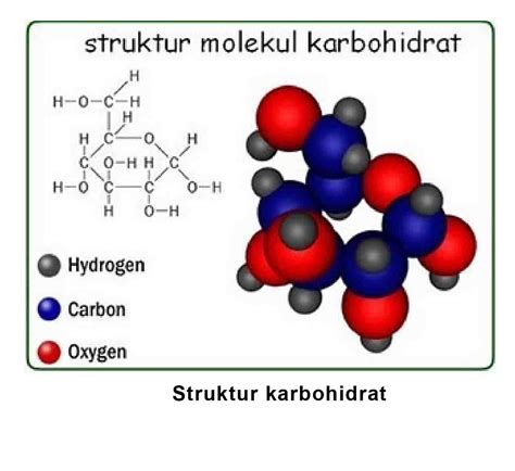 KARBOHIDRAT : PENGERTIAN, FUNGSI, STRUKTUR, KLASIIKASI, STEREOISOMER ...