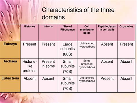 PPT - Microbes and biotechnology PowerPoint Presentation, free download ...