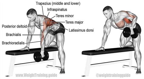 Épinglé sur Exercices de musculation