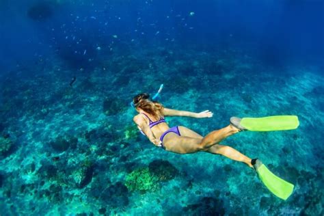 Best Snorkeling in Maui: 23 Beautiful Beaches, Coves, & More