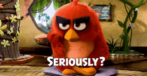 Wtf Seriously GIF by Angry Birds - Find & Share on GIPHY